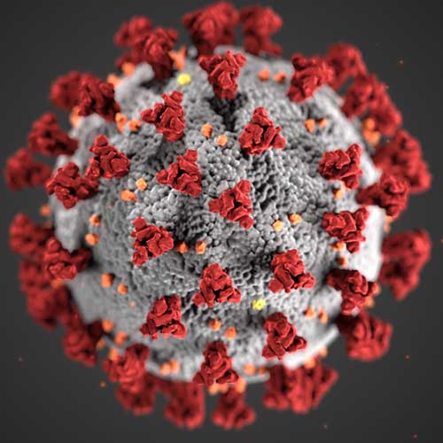 COVID 19 virus